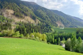 Ferienwohnung mit Terrasse und Garten | Bergblick - Image 3