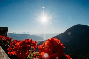 Appartamento con sauna, terrazza e giardino | Vista sulla montagna - Image 3