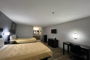 Pleasant apartment | Dogs allowed - Image 5