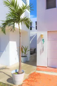 Mango Mansion - Image 5