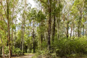 Secluded Tiny House Nestled Amidst Trees in James Creek, New South Wales - Image 3