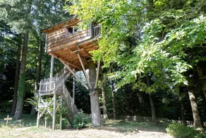 Tree House Accommodation for a Couples Retreat in Ardeche, France - Image 5