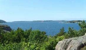 Agréable maison de vacances avec terrasse, sauna et barbecue - Image 3