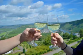 Weingut-Gästehaus Konrad Kirsten - Casa la vino - Image 4