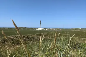 House with terrace | Beach nearby - Image 4