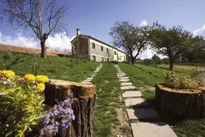 Rosa Nel Bicchiere: Camera 2 - Image 2