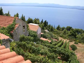 Holiday apartment with BBQ & terrace - Image 4