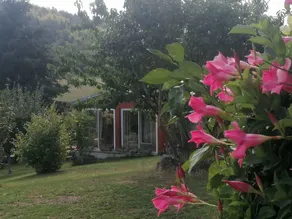 Chalet with garden, barbeque & terrace - Image 2
