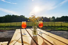 Maison de vacances avec terrasse et jardin - Image 2