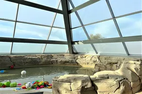 Familienfreundliches Ferienhaus mit Pool und Terrasse - Image 2