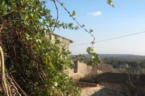 Nice house with terrace, garden & barbeque | Pets are welcome - Image 3
