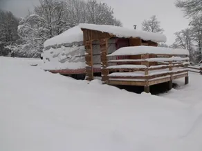Schönes Ferienhaus mit Grill | Hunde erlaubt - Image 3