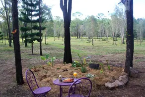 Secluded Bushland Tiny House Retreat with Wildlife and Walking Trails in Grandchester Queensland - Image 4