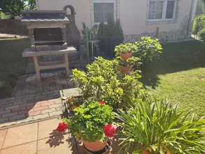 Apartment with garden & barbeque - Image 5