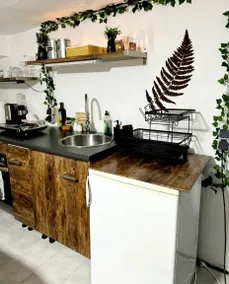 Private room with garden | Dogs allowed - Image 4