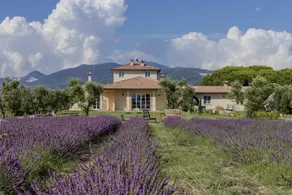Villa Toscana: Camera Matrimoniale Standard - Image 2