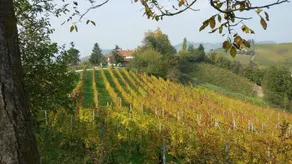 Cascina Torello: Camera matr colazione Green - Image 3