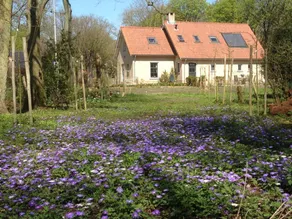 Heveringseweg, Oostvoorne - Image 2