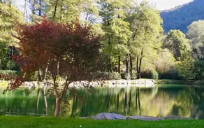Lago D'Oro: Camera 3 - Image 5