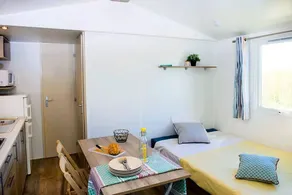 Agréable mobil home avec barbecue | À côté de la plage | Avec animaux autorisés - Image 3