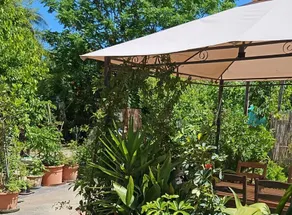 La Meridiana - Agriturismo bio, ristoro e camere: Sole - camera familiare, colazione su richiesta - accessibile - Image 3