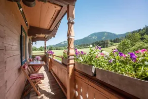 Bauernhof Sojerhof - Image 2