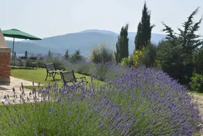 Lucciola Bella: PAPAVERO - Image 2