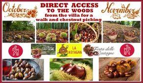 Children-friendly villa with barbecue & garden | Garden view | Suitable for remote work | Pets are welcome - Image 3