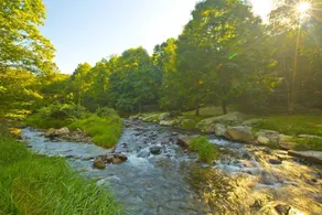 River Sound Cabin At Eagles Nest - Image 3