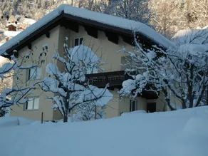 Große Wohnung in Silbertal mit Großem Garten - Image 3