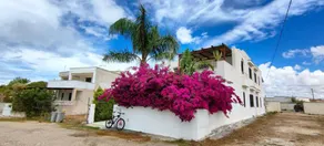 Fully equipped flat with garden - Image 2