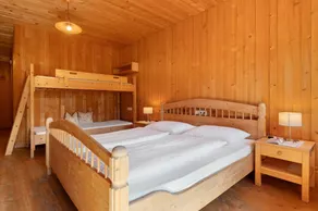 Room 'Naturidyll Mitterbach 2' with Mountain View, Private Terrace and Wi-Fi - Image 5