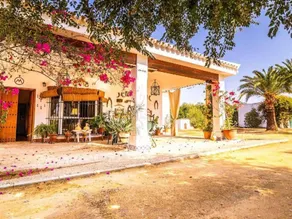 Fully equipped beautiful holiday home with BBQ, garden & terrace | Nature view | Dogs allowed - Image 4