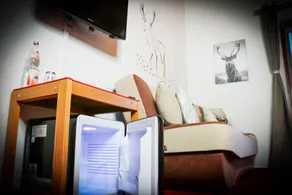 Dearest Deer – Cozy Family Room with Balcony and Great View for 3 Guests - Image 5