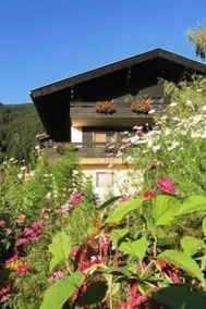 Salvia in Millstatt - Image 5