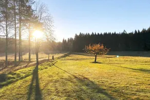 Holiday home with garden - Image 4