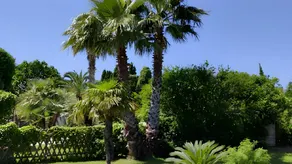 Familienorientiertes wunderschönes Ferienhaus mit Grill, Garten und Pool | Gartenblick | Perfekt für die Arbeit von Zuhause | Haustiere sind willkommen - Image 4