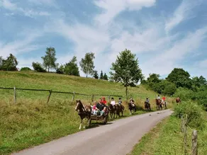 Reiterlandhof (Lichtenfels - Neukirchen) - Image 4
