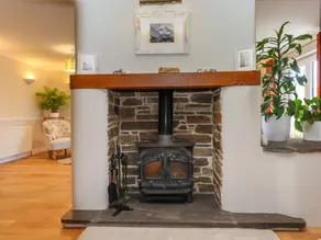Cottage with garden - Image 4