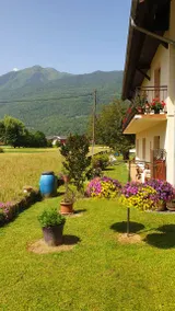 Apartment with terrace, barbecue & garden | Garden view - Image 3