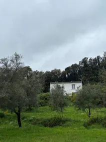 House with garden, terrace & private pool - Image 2