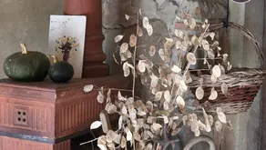 Podere la Casellina - un vero agriturismo familiare: Struttura intera - Image 4