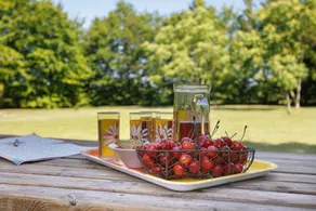 Gîte Les Tournesols – mit Pool, nahe Dordogne - Image 2