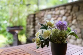 Bungalow 'Urlaubsoase Am Bruchsee' with Lake View, Private Terrace and Private Garden - Image 5