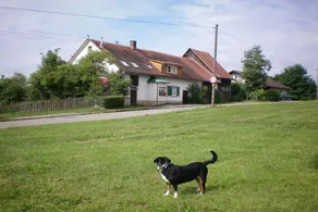 Holiday home with terrace & garden - Image 2