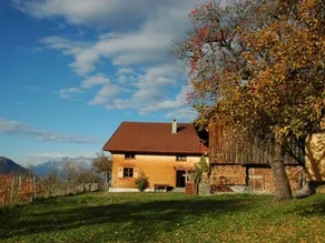 House with BBQ, terrace & garden | Nature view - Image 2