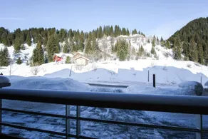 Wifi, remise en forme, piscine, sauna, hammam, balcon, télévision, casier à ski, 29-39m², Flaine - Image 5