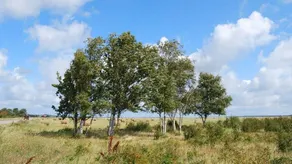 Doppelzimmer für 2 Personen (20 m²) in Insel Hiddensee - Image 4