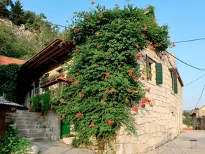 HOLIDAY HOME IN PODASPILJE - Image 5