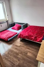 Flat | Pets allowed - Image 3